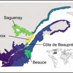 Study: Researchers have traced the origins of a rare genetic disease to two Quebec founding families in the 17th century — (Details)