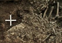 Research: An ancient strain of plague may have led to the decline of Neolithic Europeans —