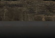 Research: Biggest mass extinction caused by global warming leaving ocean animals gasping for breath —