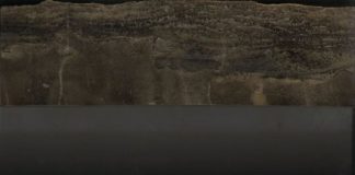 Research: Biggest mass extinction caused by global warming leaving ocean animals gasping for breath —