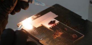 Research: Half a million tests and many mosquitoes later, new buzz about a malaria prevention drug —