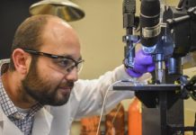 Research: 3D-printed glucose biosensors —