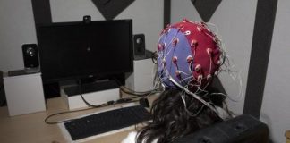 Study: Our brain on alert in a flash — (Details)