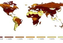Research: Potential implications of transitioning to plant-based plastics —
