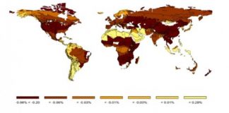 Research: Potential implications of transitioning to plant-based plastics —