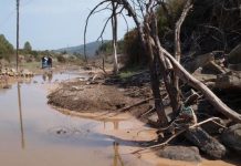 Research: One out of three rivers in the Iberian Peninsula is affected by salinization —