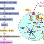 Study: Mutation causing arterial autoimmune disease revealed — (Details)
