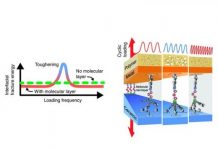 Tech: Nanoglue can make composites several times tougher during dynamic loading — (Report)