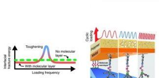 Tech: Nanoglue can make composites several times tougher during dynamic loading — (Report)