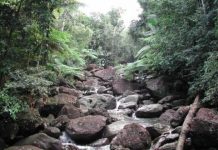 Research: Unexpected impact of hurricanes on Puerto Rico’s watershed —