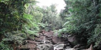 Research: Unexpected impact of hurricanes on Puerto Rico’s watershed —