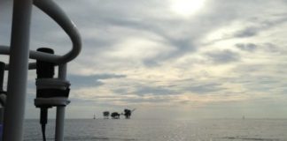 Research: Key players in the marine nitrogen cycle can utilize cyanate and urea —