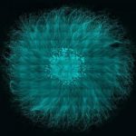 Study: Injured neurons temporarily revert to immature state — (Details)