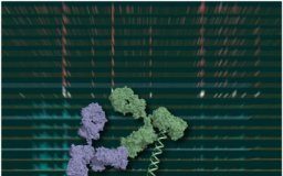 Study: A promising approach for low-cell-number epigenomic profiling — (Details)