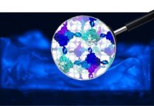 Tech: Green production of chemicals for industry — (Report)