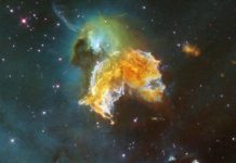 Research: Did supernovae kill off large ocean animals at dawn of Pleistocene? —