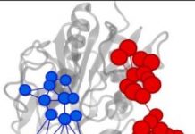 Tech: New tool for understanding enzymes — Google — (Report)