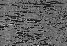 Tech: Custom-made artificial mother-of-pearl — (Report)