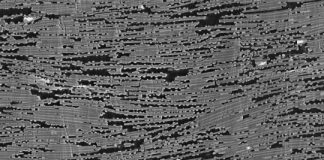 Tech: Custom-made artificial mother-of-pearl — (Report)