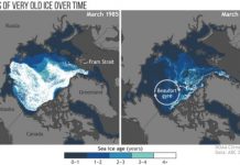 Research: Annual update improves understanding of changing climate, wildlife impacts —