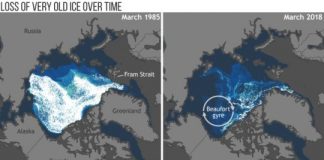 Research: Annual update improves understanding of changing climate, wildlife impacts —