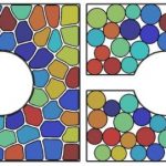 Study: Shape-shifting cell breakthrough — (Details)