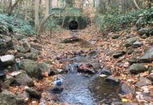 Research: Erosion reshapes urban stream beds to become a series of hypoxia-prone pools —