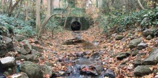 Research: Erosion reshapes urban stream beds to become a series of hypoxia-prone pools —