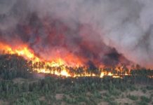 Research: Tipping point identified in soil’s ability to retain moisture after fire —