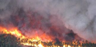 Research: Tipping point identified in soil’s ability to retain moisture after fire —