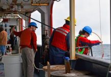 Research: Iron storage strategies may determine which species thrive in changing oceans —