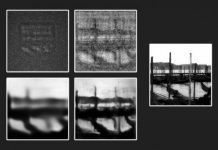 Research: Method could illuminate features of biological tissues in low-exposure images —