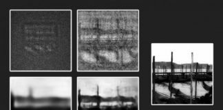 Research: Method could illuminate features of biological tissues in low-exposure images —