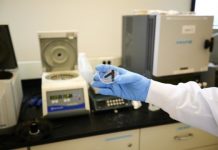 Research: Low-cost catalyst boosts hydrogen production from water —