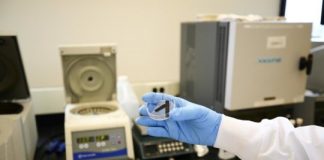 Research: Low-cost catalyst boosts hydrogen production from water —