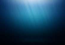 Research: Why deep oceans gave life to the first big, complex organisms —