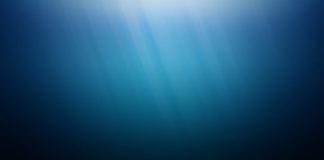 Research: Why deep oceans gave life to the first big, complex organisms —