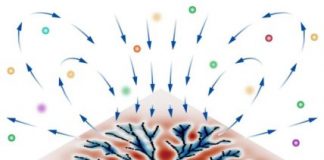Research: Flows that help bacteria feed and organize biofilms —