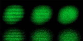Tech: How unconventional metals behave, with an eye on high-temperature superconductors — (Report)
