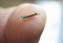 Research: Method shows around-the-clock interactions, gives insight into hummingbird health —