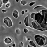 Study: A new way to make robust membranes — (Details)