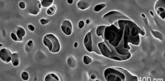 Study: A new way to make robust membranes — (Details)