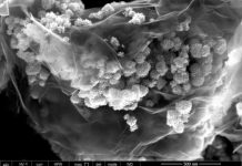 Tech: Chemists develop new anode material — (Report)