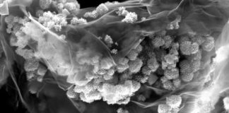 Tech: Chemists develop new anode material — (Report)