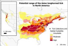 Research: Asian longhorned tick could find plenty of suitable habitat in North America similar to its native region —