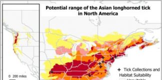 Research: Asian longhorned tick could find plenty of suitable habitat in North America similar to its native region —