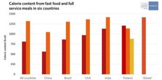 Study: Large restaurant portions a global problem, study finds — (Details)