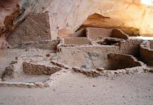 Research: Oldest known plant virus found at ancient settlement —