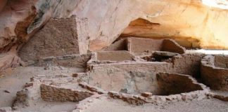Research: Oldest known plant virus found at ancient settlement —