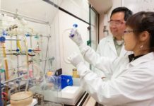 Tech: Scientists maximize the effectiveness of platinum in fuel cells — (Report)